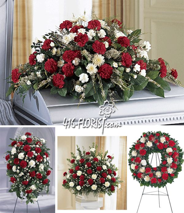 Red and White Carnation Family Flower Package Red and White Carnation Family Flower Package